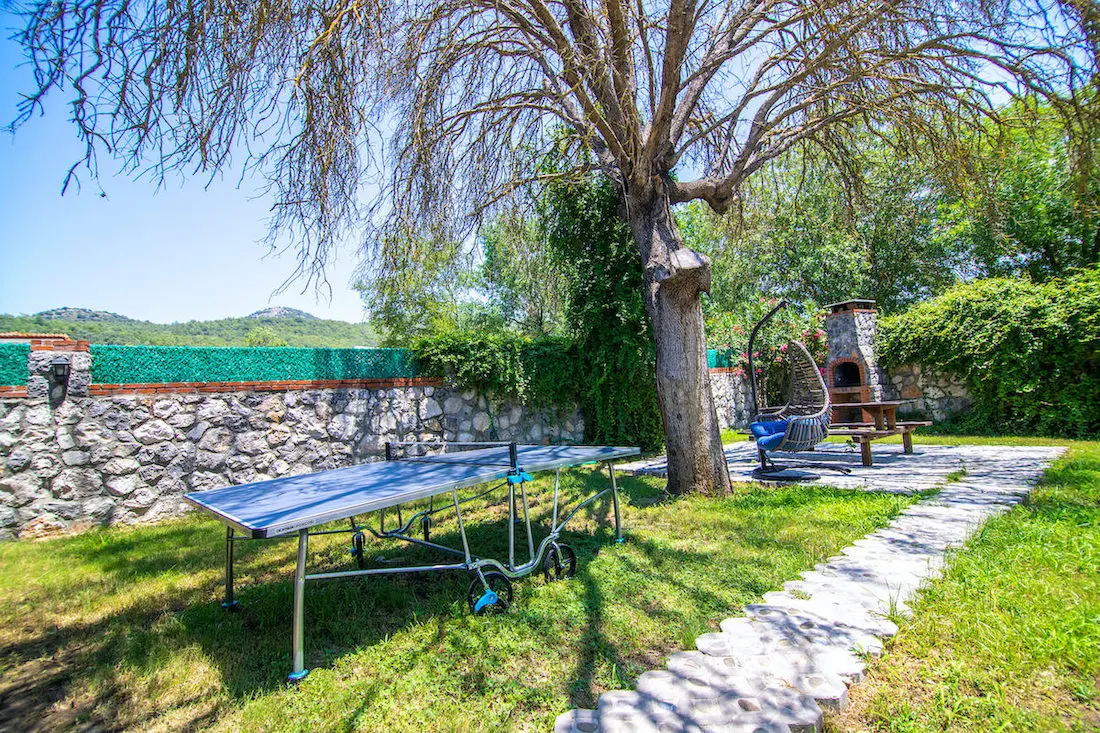 Mature garden